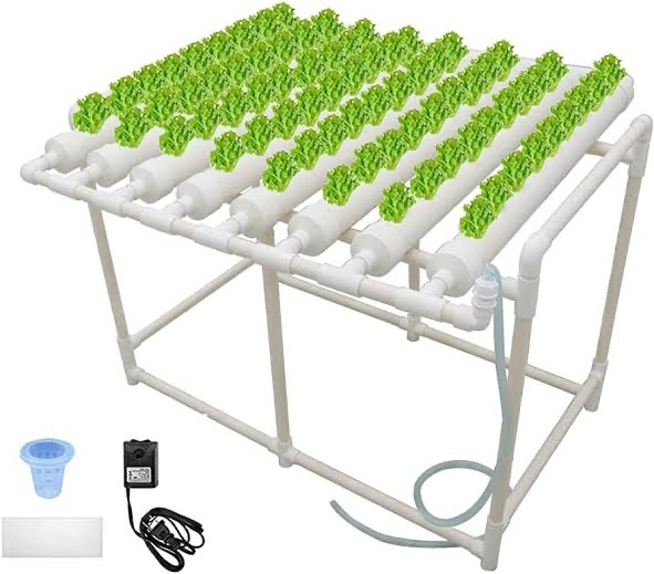 Greenhouse design and construction in Nigeria