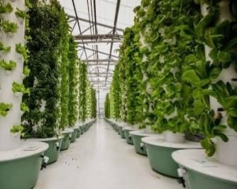 Greenhouse design and construction in Nigeria
